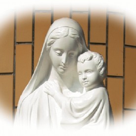 諌早純心幼稚園の写真2