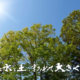 上野愛光保育園