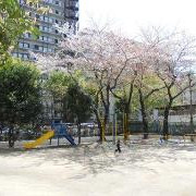 光が丘第六保育園の写真2