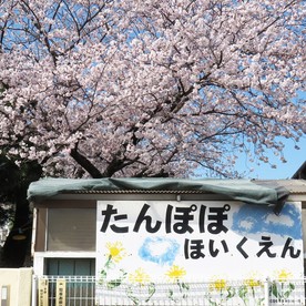 たんぽぽ保育園