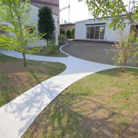 テスの木の写真2