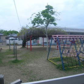 教徳保育園の写真2
