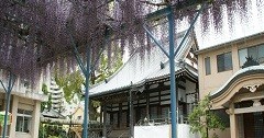 別府中央幼稚園