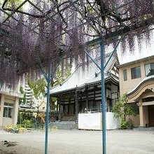 別府中央幼稚園の写真2