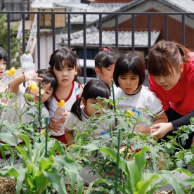 ルンビニこども園
