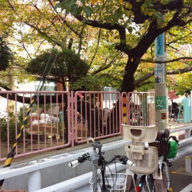 玉造幼稚園の写真2