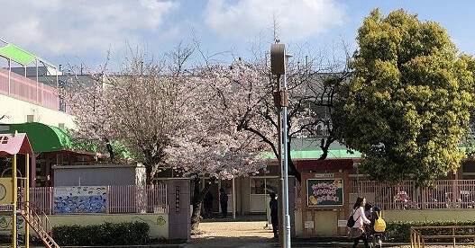 九条幼稚園