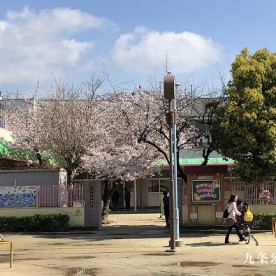九条幼稚園の写真2