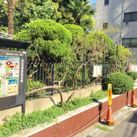 生魂幼稚園の写真2