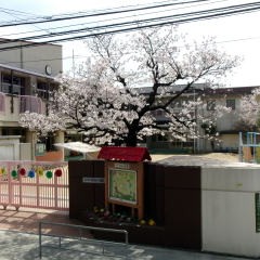 鯰江幼稚園
