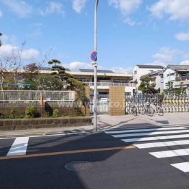 井高野第二保育園の写真2