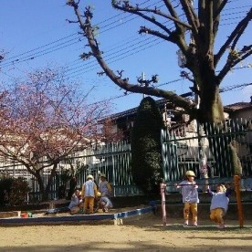井高野保育園