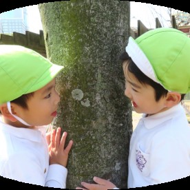 認定こども園　桜宮児童センターの写真3