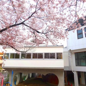 認定こども園　菅原天満幼稚園