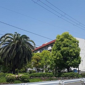 幼保連携型認定こども園　愛染園南港東保育園の写真2