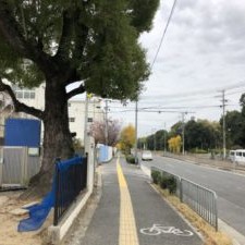 いづみ保育園の写真2