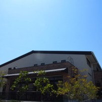 ドリームこども園（本園）