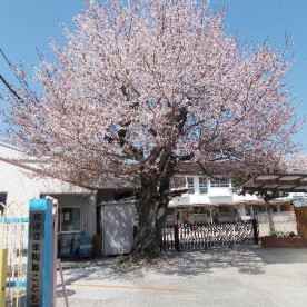 堺市立東陶器幼稚園