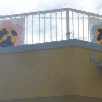 八木幼稚園