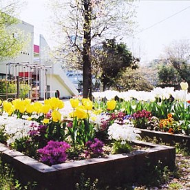 豊中市立しんでんこども園