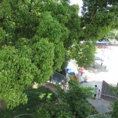 豊中市立のばたけこども園
