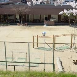 夢の鳥保育園