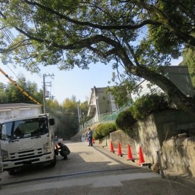 あい保育園千里中央の写真2