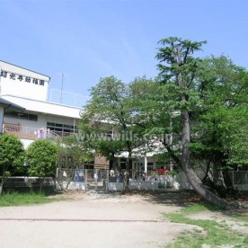 超光寺幼稚園の写真2