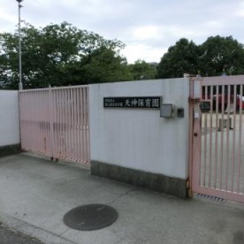 天神保育園の写真3
