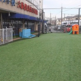 すこやか認定こども園