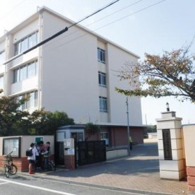泉大津市立戎保育所の写真2