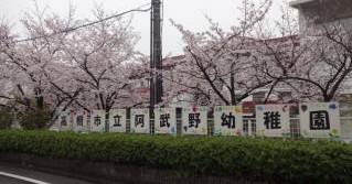阿武野幼稚園