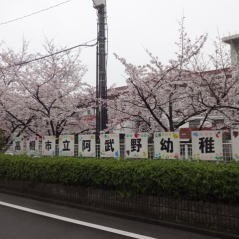 阿武野幼稚園の写真2