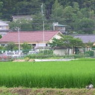 樫田幼稚園