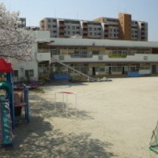 玉川幼稚園の写真2