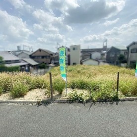 樋之上保育園の写真2
