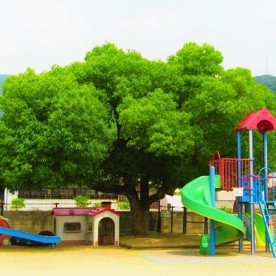 認定こども園母木保育園