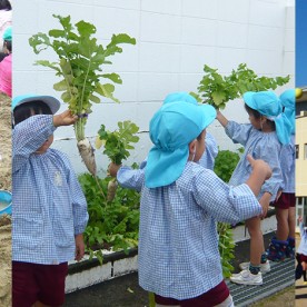 認定こども園清友幼稚園