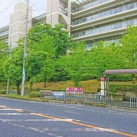 富田林市立津々山台幼稚園の写真2