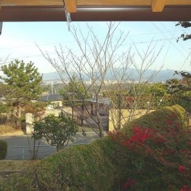 高向保育園（分園）