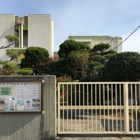 松原市立松原幼稚園の写真2