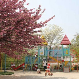 認定こども園上代幼稚園