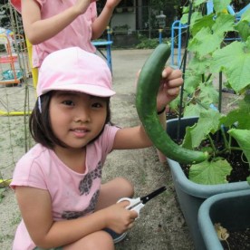 箕面市立なか幼稚園の写真3