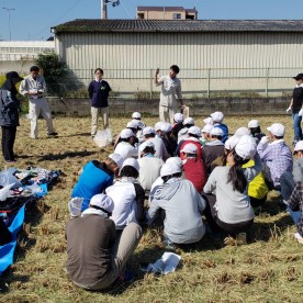 藤井寺南幼稚園の写真2