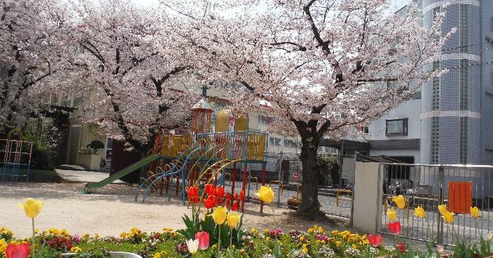 道明寺南幼稚園