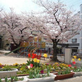 道明寺南幼稚園