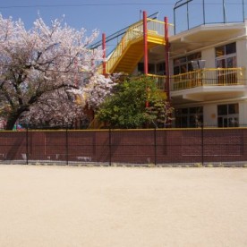 認定こども園　みどり幼稚園