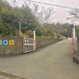 まい幼稚園の写真2