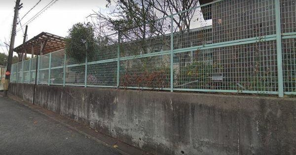 さくらこども園
