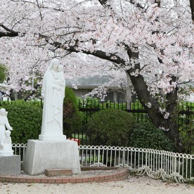 カトリックさゆり幼稚園の写真2